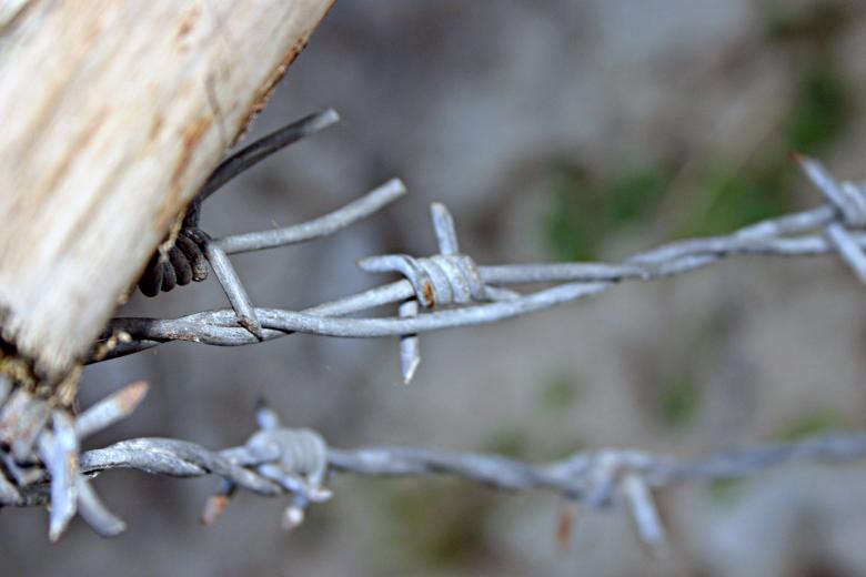 Free stock image of Barbed wire closeup created by Bjorgvin