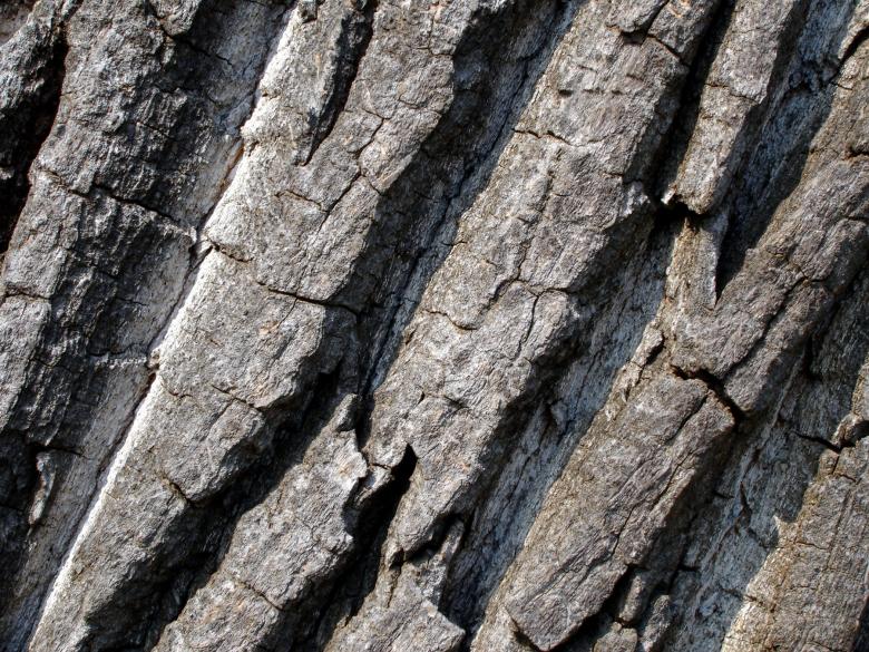 Free stock image of Cracked wood created by Darren Hester