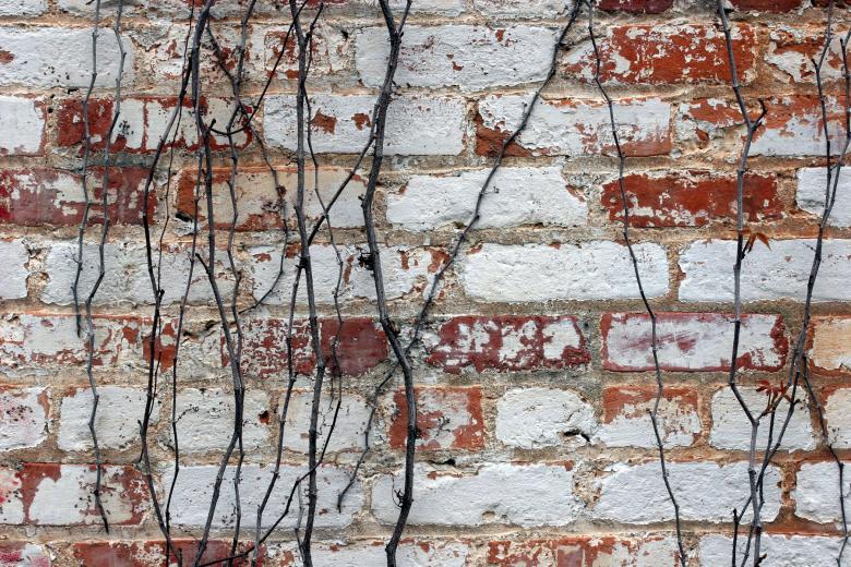 Free stock image of Brick wall texture created by Darren Hester