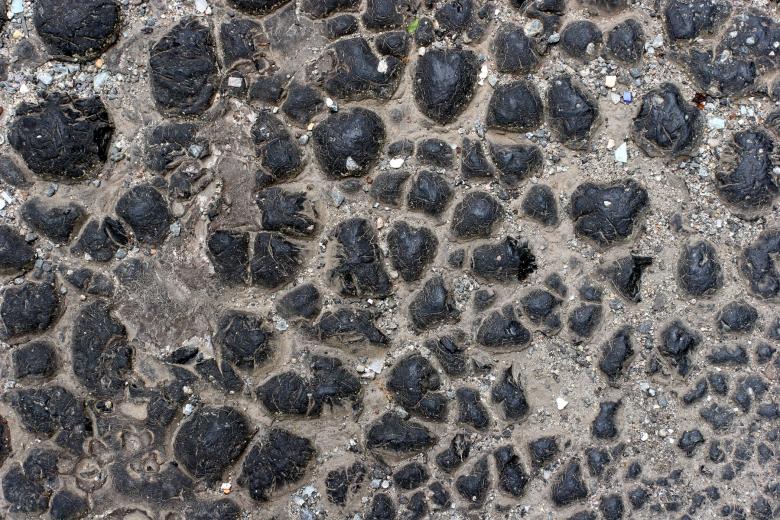 Free stock image of Wall texture created by Darren Hester