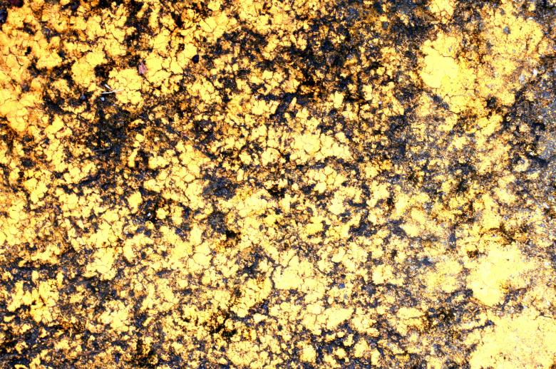 Free stock image of Golden cracked surface created by Darren Hester