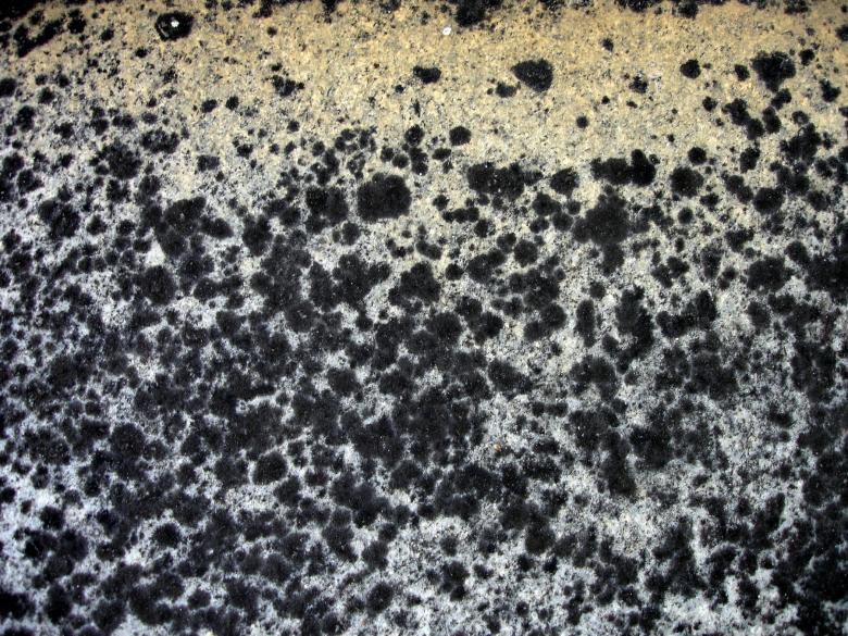 Free stock image of Dotted surface created by Darren Hester