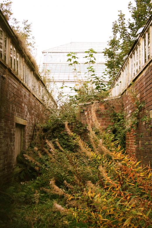 Free stock image of Plants between brick houses created by julian battye