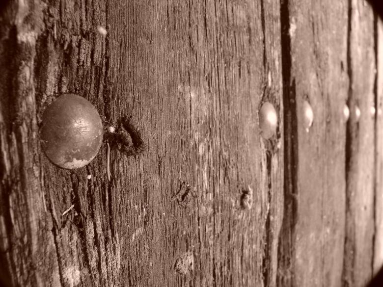 Free stock image of Wooden plank created by javier baranda