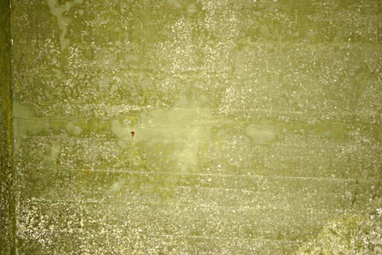 Free stock image of Green dirty wall created by Bjorgvin
