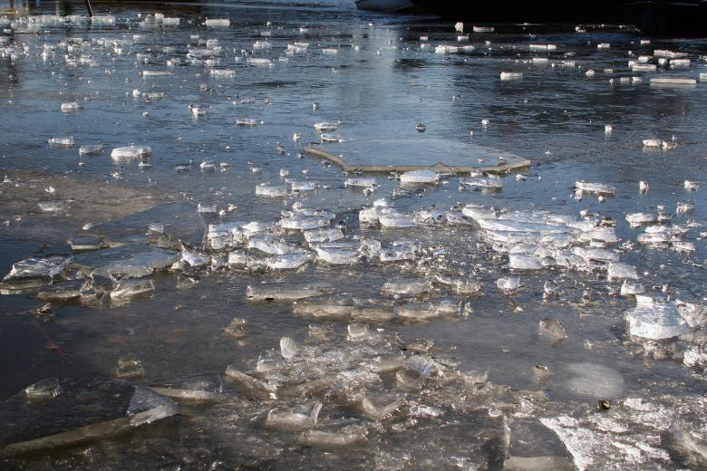 Free stock image of Ice created by damien van holten