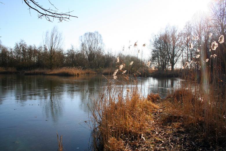 Free stock image of Frozen pond created by damien van holten