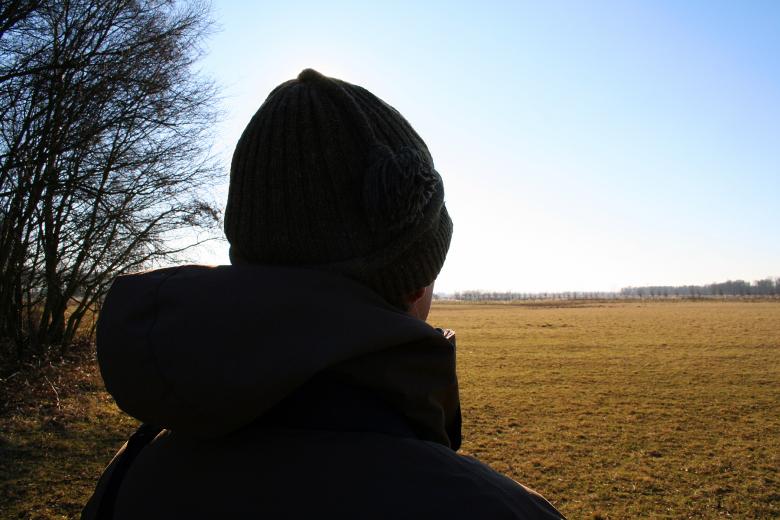 Free stock image of Man looking out over landscape created by damien van holten