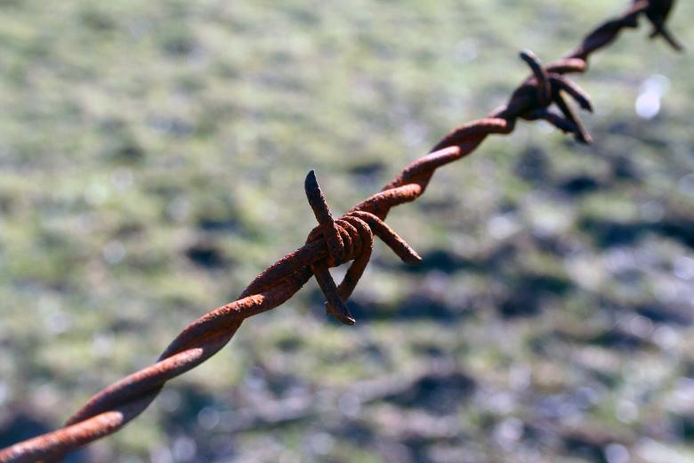 Free stock image of Barbed wire detail created by damien van holten