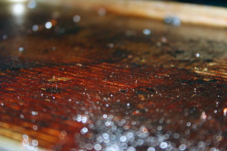 Free stock image of Brown fat created by damien van holten