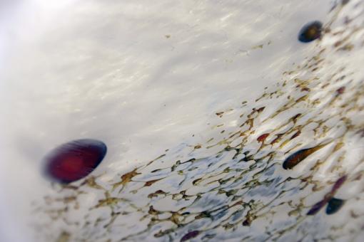 Free Stock Photo of Glass texture