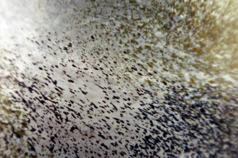 Free stock image of Glass texture created by Bjorgvin