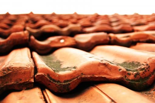Red tiles - Free Stock Photo