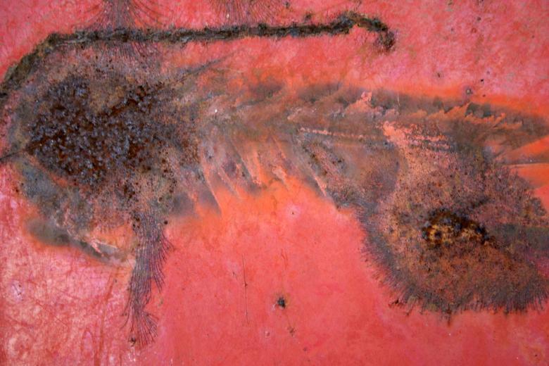 Free stock image of Rusted metal surface created by Bjorgvin