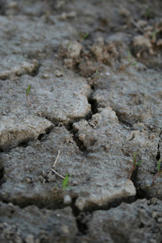 Free stock image of Dirt texture created by trevor henry