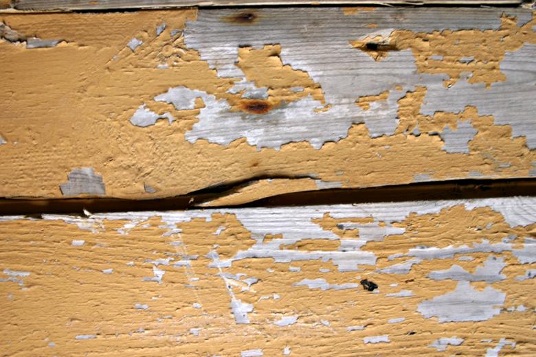 Free stock image of Wood texture created by Bjorgvin