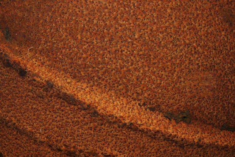 Free stock image of Rusted Metal Surface created by Bjorgvin