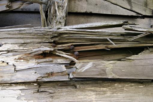 Free Stock Photo of Broken wood texture