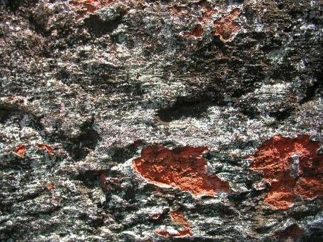 Rocky surface - Free Stock Photo