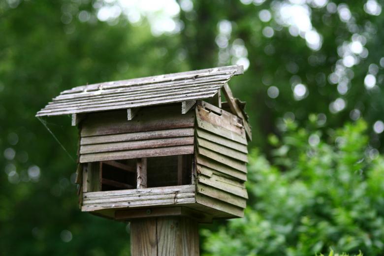 Free stock image of Bird house created by trevor henry