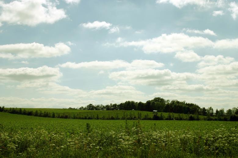 Free stock image of Green field created by Bjorgvin