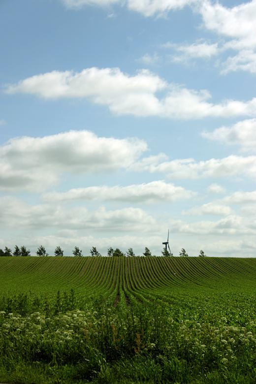 Free stock image of Green field created by Bjorgvin