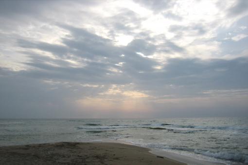 On the beach - Free Stock Photo