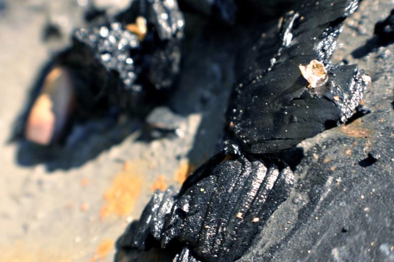 Free stock image of Burned wood created by Bjorgvin