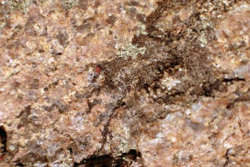Free Stock Photo of Rock surface