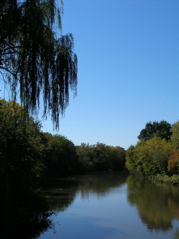 Free stock image of Enchanted Lagoon created by jennifer hupe