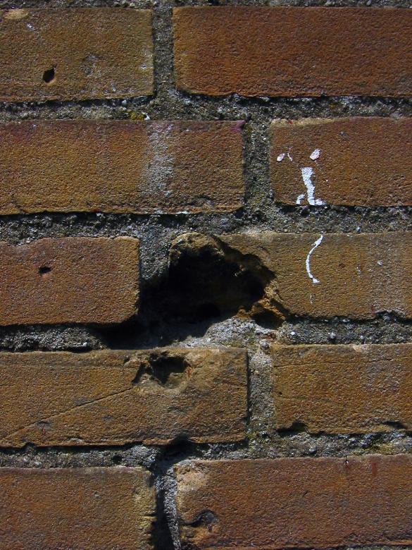 Free stock image of Brick wall created by damien van holten