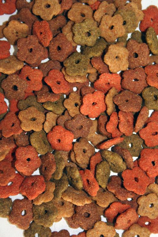 Free stock image of Cat food created by damien van holten