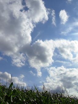 Cloudy sky