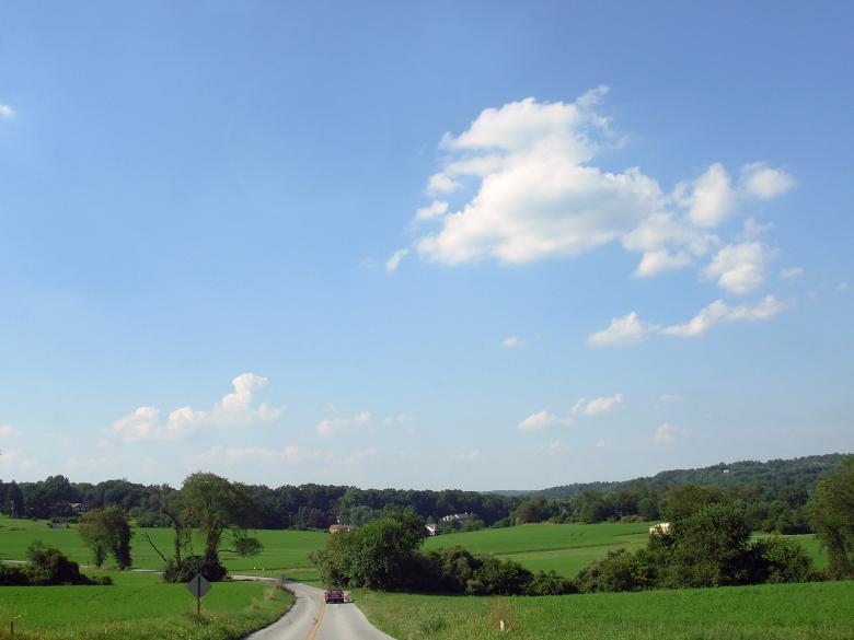 Free stock image of Green summer landscape created by jayne shives