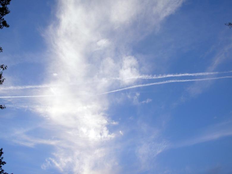 Free stock image of Sunny sky created by jayne shives