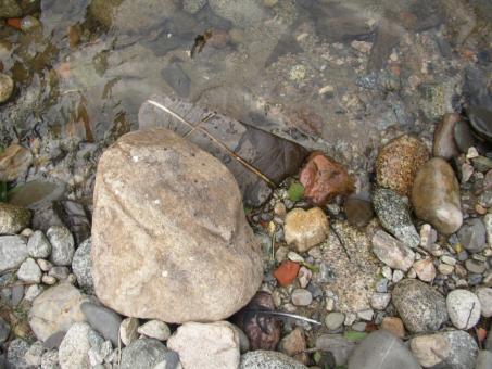 Rocks in Nature - Free Stock Photo