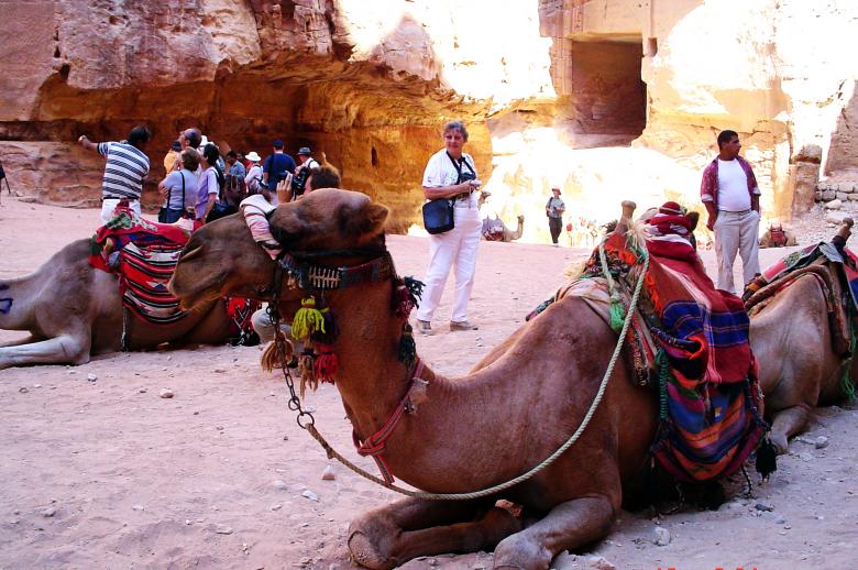 Free stock image of Petra Camel created by sheba sanders