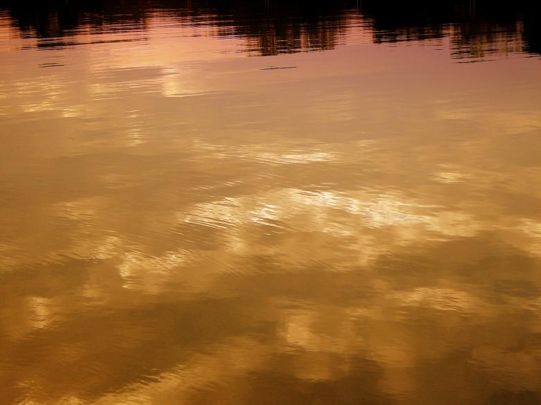 Free stock image of Water reflections created by todor todorov