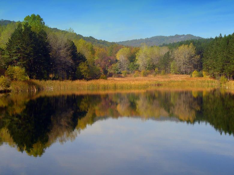 Free stock image of Lake in autumn created by todor todorov