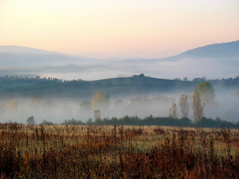 Free stock image of Autumn created by bogdanov