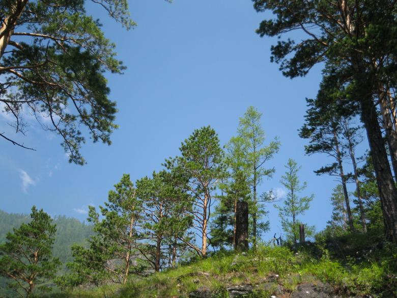 Free stock image of Nature good created by alexey
