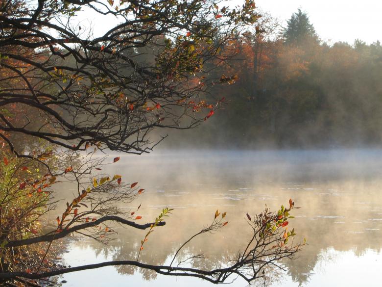 Free stock image of Misty Morning Lake created by wendy chalmers