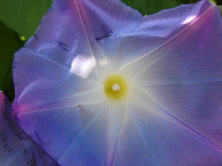 Free stock image of Sun Shining Through created by jenna yeager