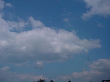Dolphin Cloud - Free Stock Photo