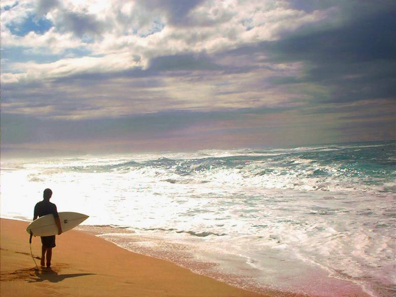 Free stock image of Sunset Beach Surfer created by taylor hunt