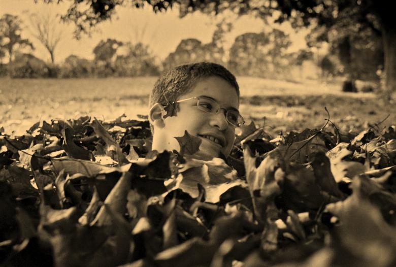 Free stock image of Leaf Me Alone created by sheldon hull