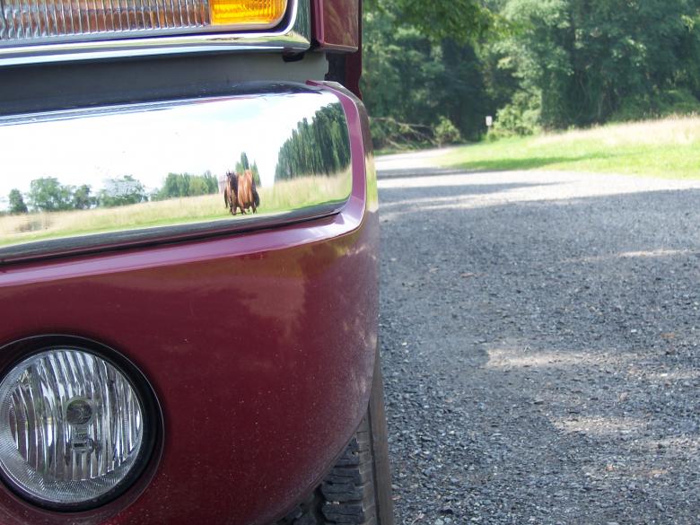 Free stock image of REFLECTION created by susan aceto