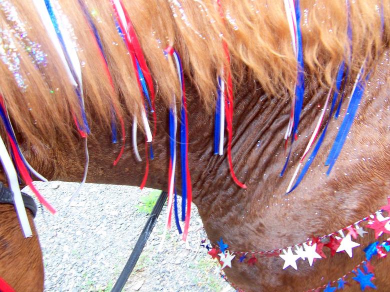 Free stock image of PATRIOTIC RIO created by susan aceto