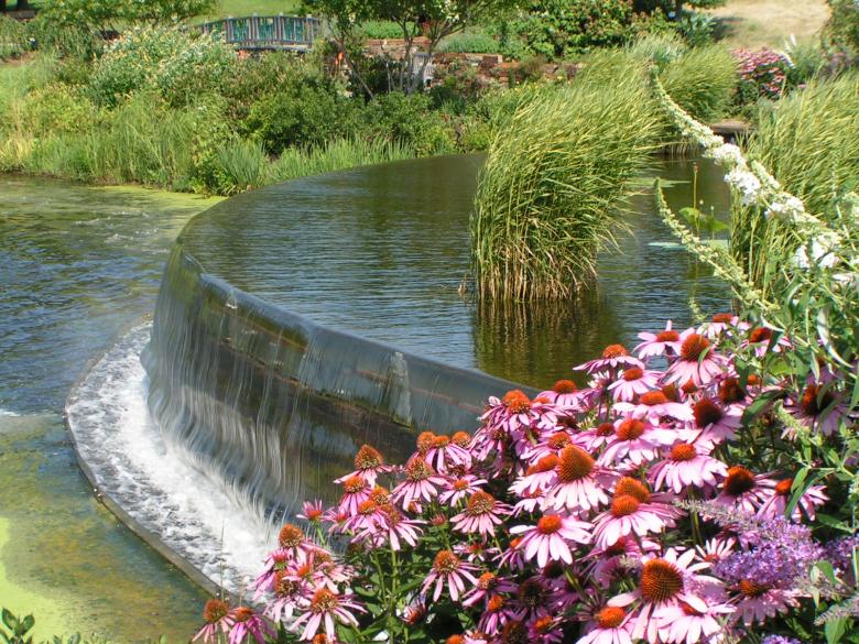 Free stock image of Water Garden created by fran white