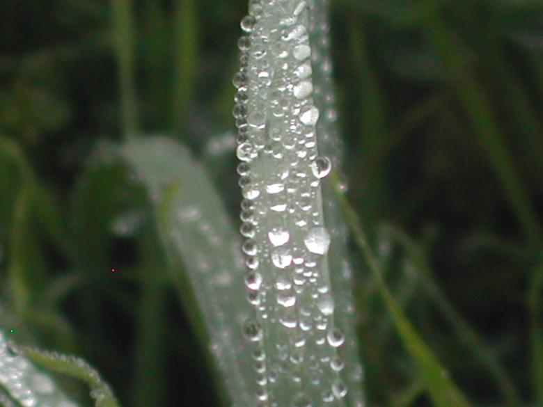 Free stock image of Too close to the edge created by laurie